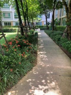 Top-Floor Studio Retreat - Chiang Mai - 7