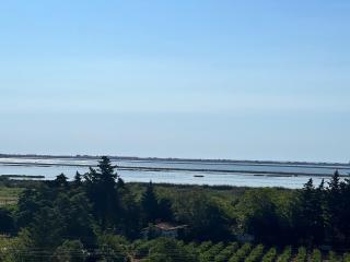 Cocon d'Ingril Penthouse vue mer - Frontignan - 2