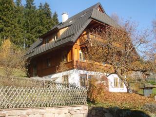Am Neuhausbauernhof - Königsfeld im Schwarzwald - 9