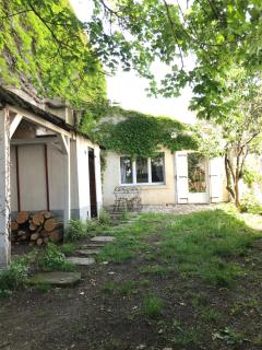La vigne vierge - Saint-Pierre-dʼOléron - 8