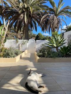 CASITA, Costa Calma, 2 SZ, Glasfaser Wifi, gute Lage, Strandnähe - Costa Calma - 6