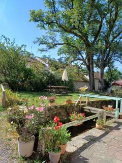 Gîte du Ruisseau d'Argent - Archettes - 7