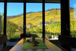Weingut Donabaum "In der Spitz" - Spitz - 8