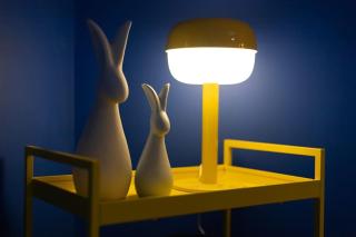 Neon Oasis - Parking - Terrasse - Wifi - - 7