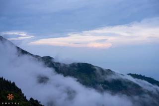 Zostel Dharamkot - McLeod Ganj - 1