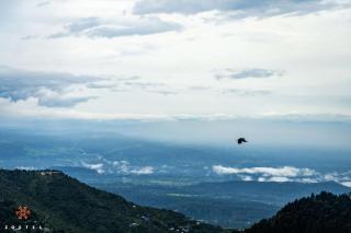 Zostel Dharamkot - McLeod Ganj - 2