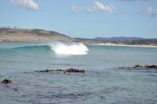 Thalia Haven - 3