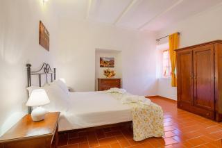 Residence with swimming pool immersed in the typical Tuscan countryside just 5 minutes from Massa Marittima - Podere Pian Mucini - 1