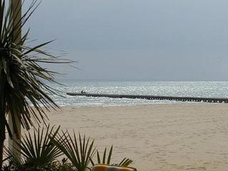 Hotel Garni Tosca - Lido di Jesolo - 5