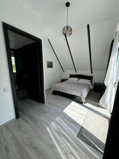 White House near Borjomi Sadgeri - 3