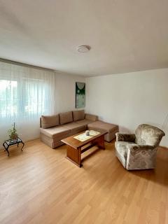 Apartmani Stela Sokobanja - 1