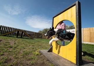 Meadows 50 - Southview Holiday Park Skegness - Skegness - 9
