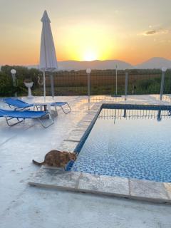 Anastasias apartments - Sarandë - 9