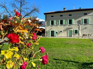 La Casa nella Vigna - Riva del Garda - 0