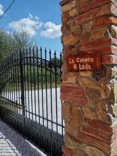 Casale - La Camera di Leda - 1