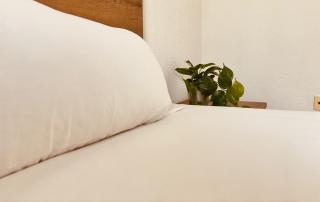 Click&Guest - Atlantic Good Breeze in Gran Canaria - Las Palmas de Gran Canaria - 6