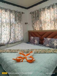 Kashmir Group of Hotels and Resorts - Srinagar - 3