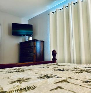 Venice Oasis Beach Ready Retreat - 3