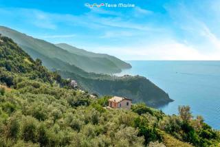 Blu Isola, Terre Marine - Corniglia - 2