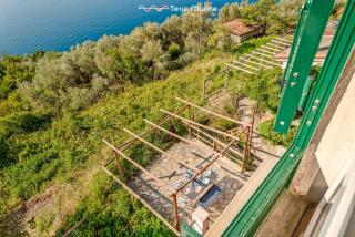 Blu Isola, Terre Marine - Corniglia - 3