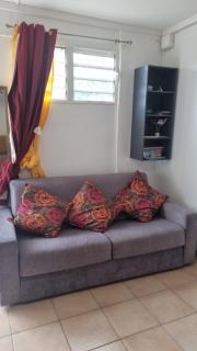 Hibiscus et Miro - 4