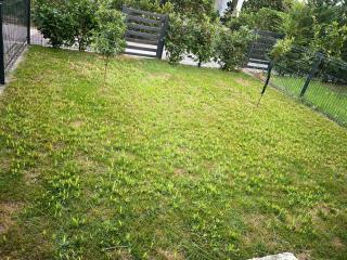 SunBreez - Durazzo - 4