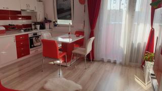 Radmy house - Arad - 5