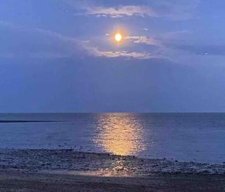 Mersea Island Retreat - 4 Bedroom House - Colchester - 0