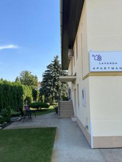 Lavanda - Palić - 8