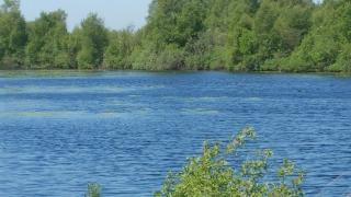 Bis 6 Hunde Fewo mit Garten - 2