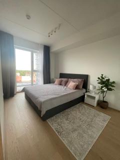 SkyResidence Luxury Apartment With City & Garden View - Tallin - 1