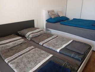 Moderní pokoj s parkováním zdarma - Bohunice - 6