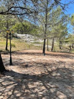 Mazet Rigodon Alpilles - Eygalières - 9