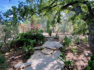 Mazet Rigodon Alpilles - 3