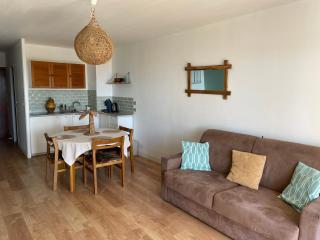 "Les Palmiers" Studio spacieux vue mer Terrasse & Parking - 8