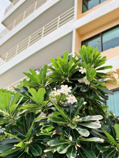 Capsule Beach Hostel - Pattaya South - 7