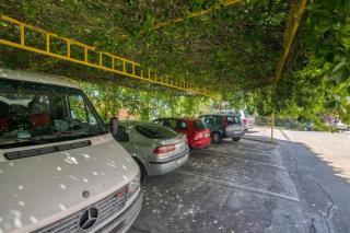 Villa Jelsa (3621) - Jelsa - 6