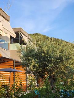 Sol Greco Apartment - Skala Rachoniou - 9