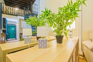 Precioso dúplex estilo sevillano en pleno centro Sevilla - Sevilla - 6