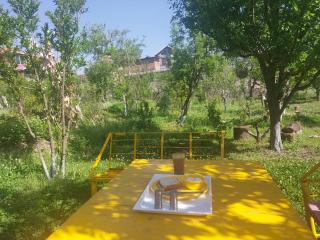 Gazing Moon Homestay - Shamshi - 6