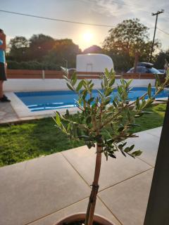 Sol Greco Apartment - Skala Rachoniou - 3