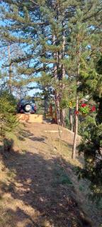Planinska kuca Lunjo & Vuk - Zlatibor - 5