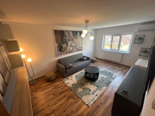 Apartament Anya Calimanesti - Călimăneşti - 0