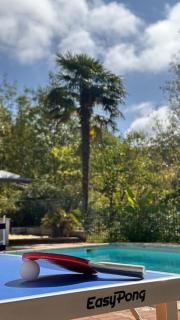 Gîte 6 personnes avec piscine - Agnac - 8