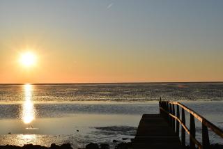 Appartement "Deichblick" Cappel Whg 10 - Cappel-Neufeld - 1