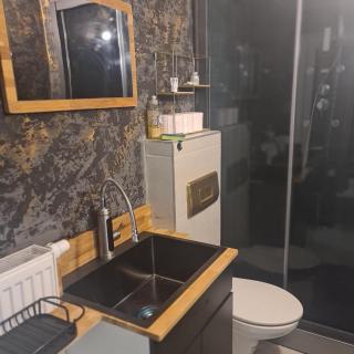 St Georgen im Attergau ein Zimmer Wohnung - Sankt Georgen im Attergau - 7