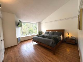 Group Stay In home Fun Yard 15 Min from Polanco! - Città del Messico - 7