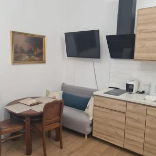 Villa Musik - apartments in historical Villa , Baden - 2