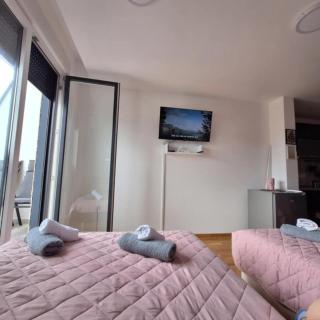 Studio apartman Delight Vrnjačka banja - Vrnjci - 7