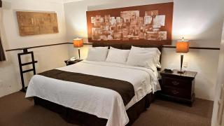 Hotel del Fresno - 8